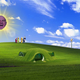 Image for article titled 56 Situations Steve Ballmer Probably Hasn't Been Seen in Before